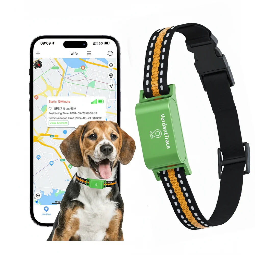Collier GPS étanche VerdantTrace VT01 avec suivi en temps réel
